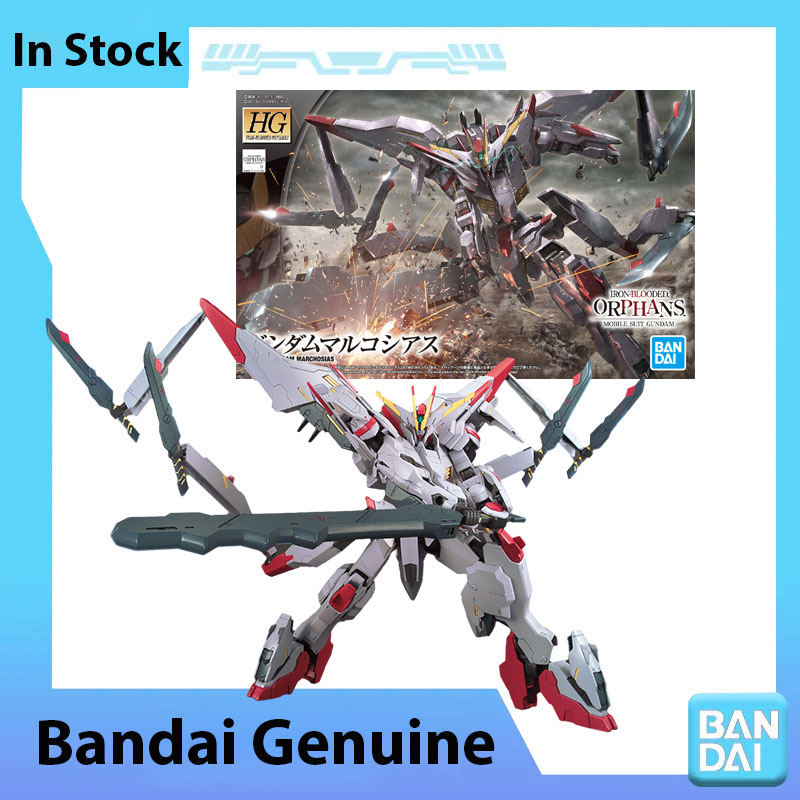 Bandai Gundam Rg - 반다이 100% 정품 건담 모델 키트